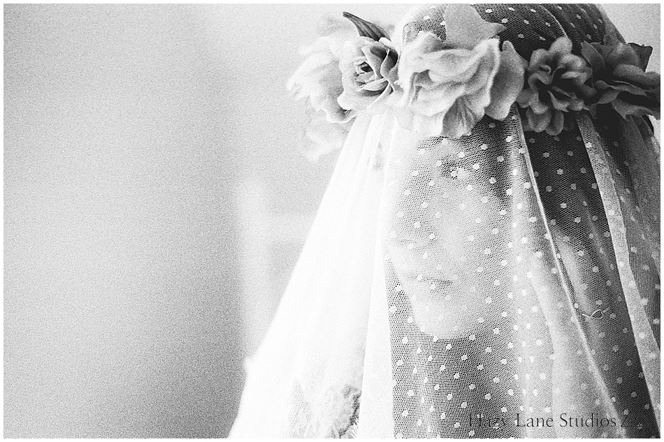 San Francisco Wedding Photographer, Hazy Lane Studios_1480