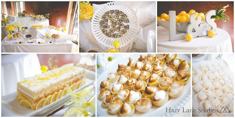 Brazilian Room wedding, brazil room, tilden park, wedding photographer, hazy lane studios-27